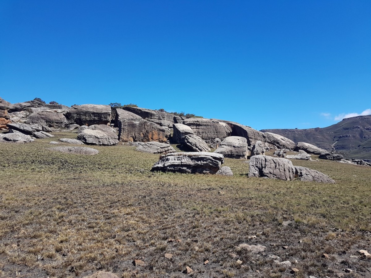 Tortoise Rocks