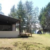 The Shed Backpackers, Campsite & Caravan