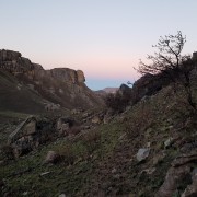 2467.jpg