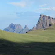3561.jpg