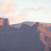3686.jpg