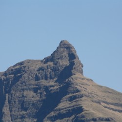 379.jpg