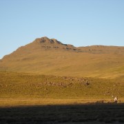 3832.jpg