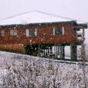 5685.jpg