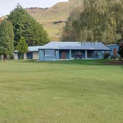 7196.jpg