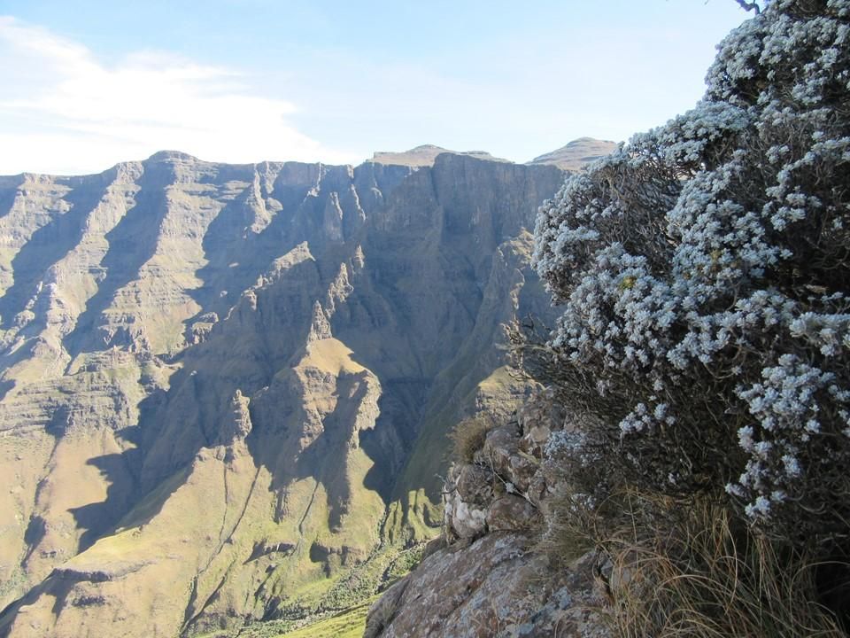 Rhino Peak: climbing the S Route