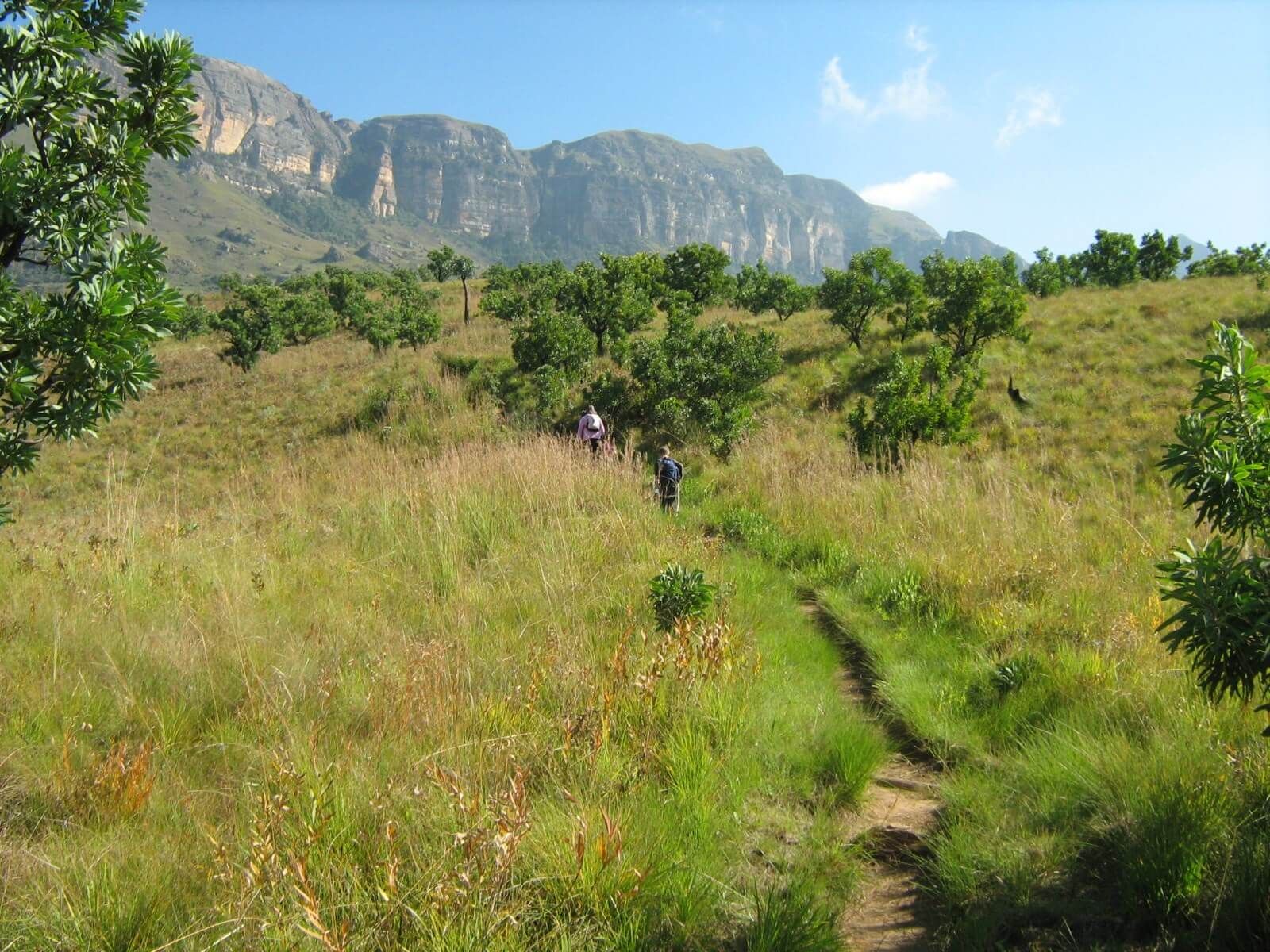 Gudu Bush hike