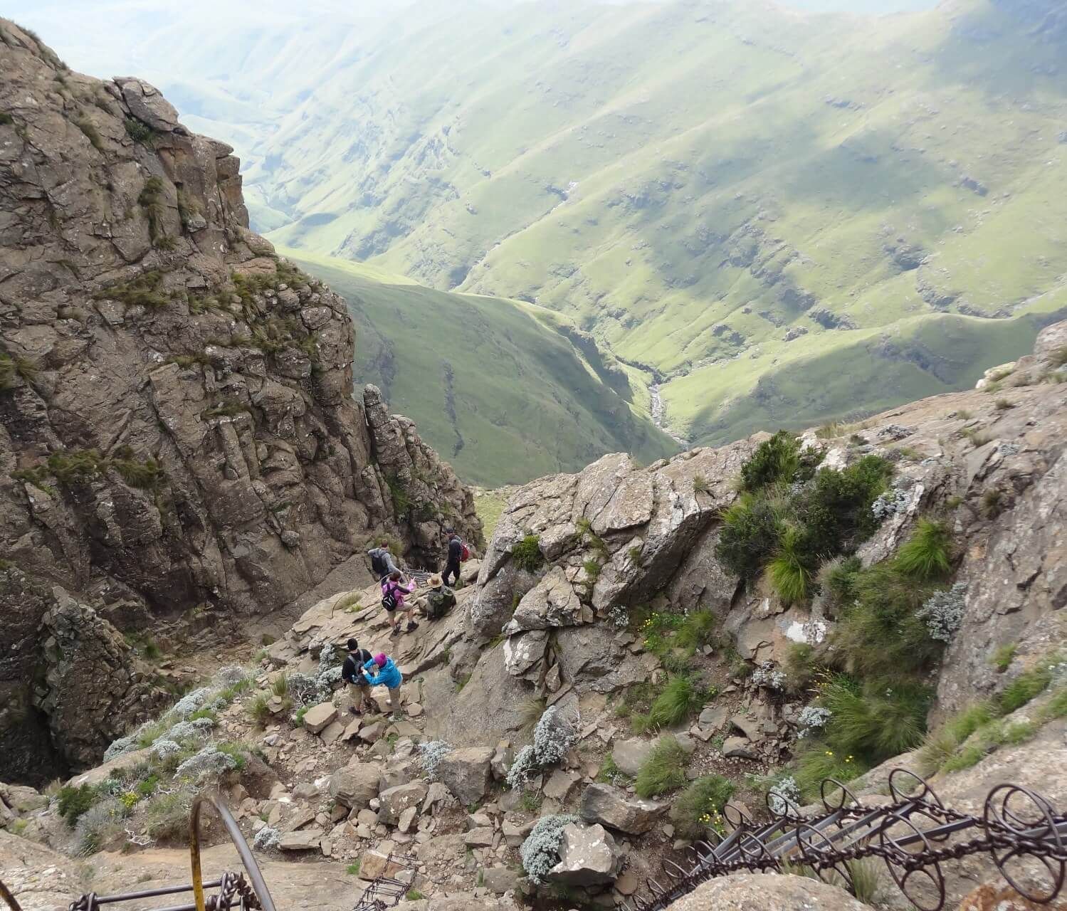 Amphitheatre Chain Ladders