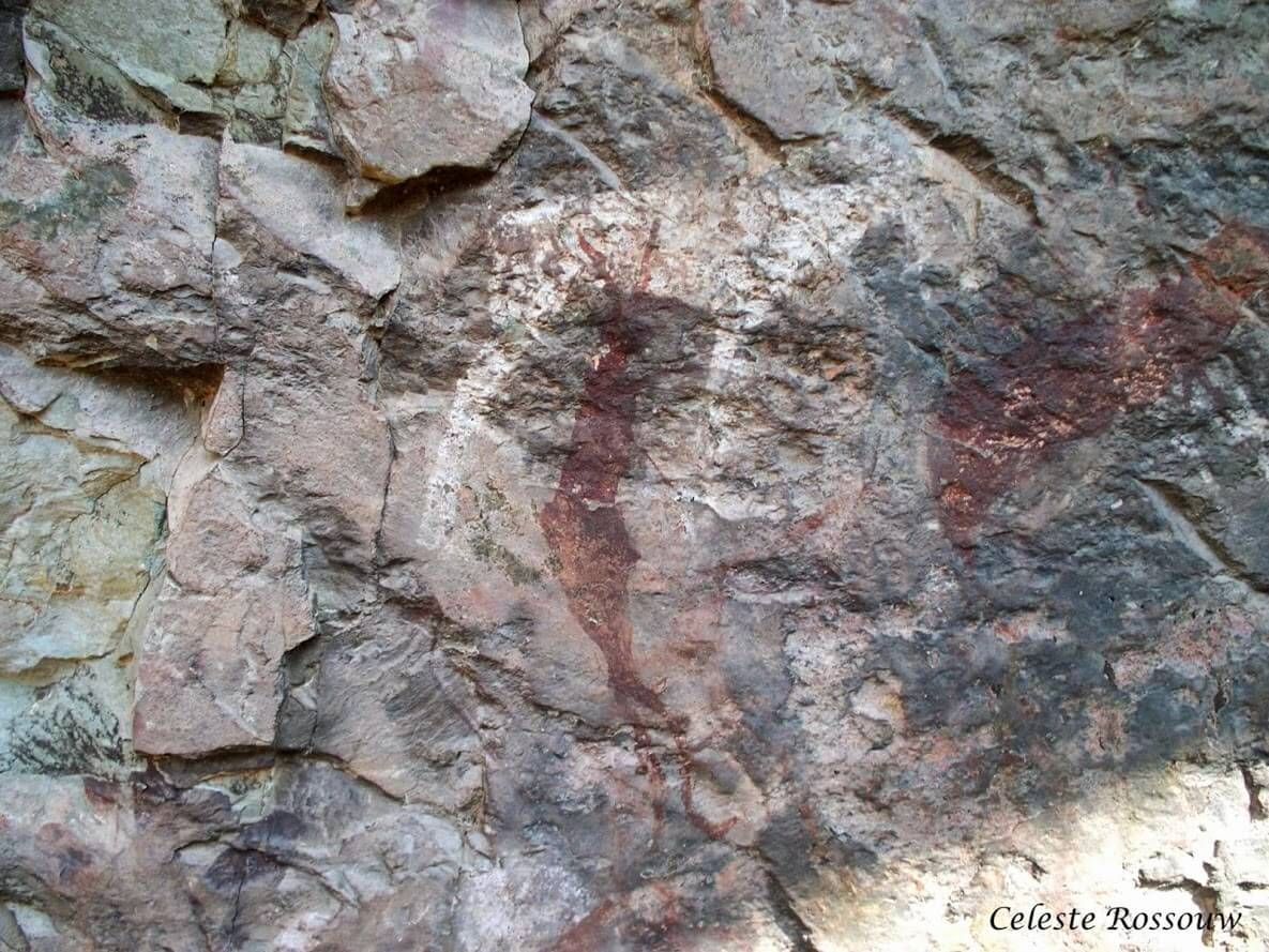 Bushman Paintings