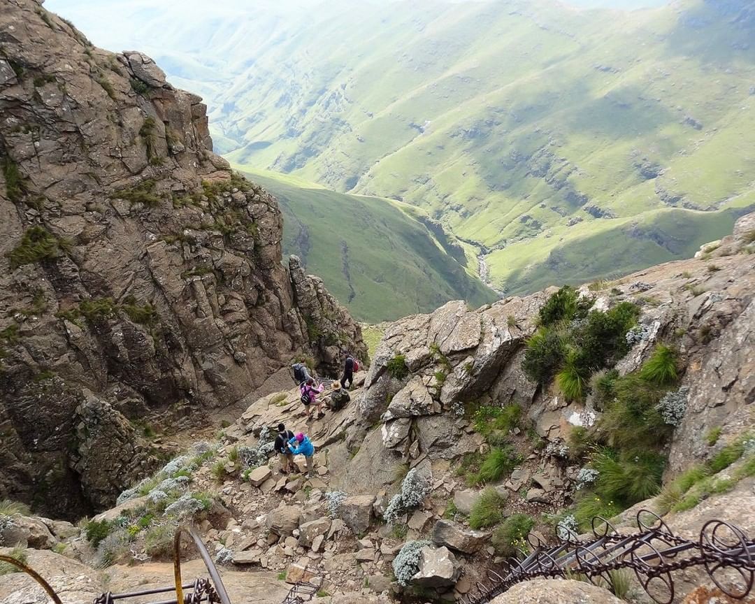 Amphitheatre Chain Ladders